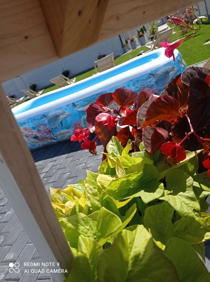 Caloroczny Osrodek Wypoczynkowy Comfort House Duszniki Zdrój Exteriör bild